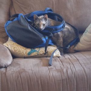 Meet your Posher, Zane